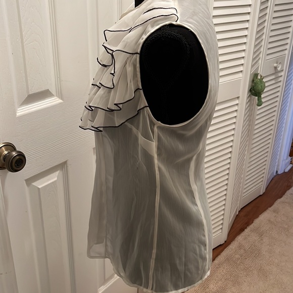 The Limited sheer fitted ruffle front blouse - Picture 2 of 3